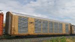 CSX T12400 (Body) CTTX 690024 (Flat)